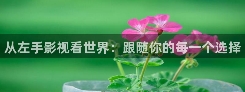 玖玖在线视频99