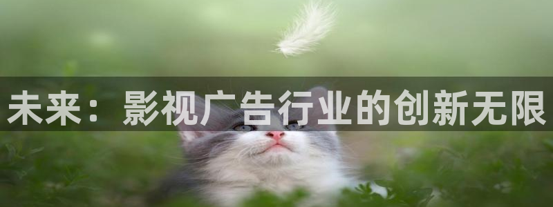 玖玖操视频：未来：影视广告行业的创新无限