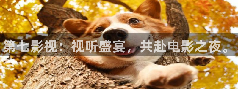 色玖玖综合视频：第七影视：视听盛宴，共赴电影之夜。