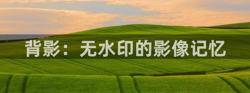 玖玖视频免费在线观看：背影：无水印的影像记忆