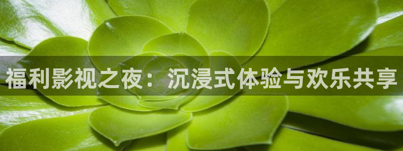 玖玖爱这里只有精品视频：福利影视之夜：沉浸式体验与欢乐共享