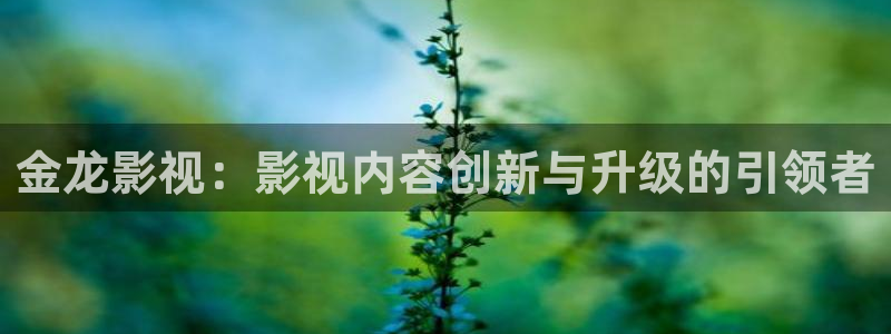 99玖玖视频