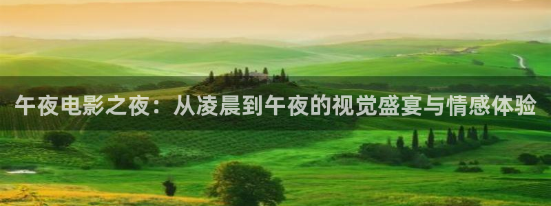 玖玖操视频：午夜电影之夜：从凌晨到午夜的视觉盛宴与情感体验