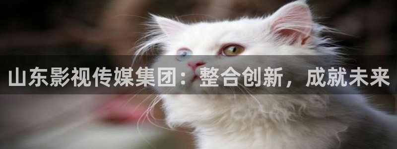玖玖爱在线视频观看：山东影视传媒集团：整合创新，成就未来