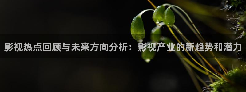 玖玖热在线视频：影视热点回顾与未来方向分析：影视产业的新趋势和潜力